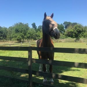 Meet your Posher, Jamie